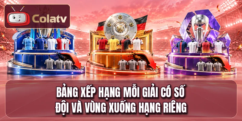 Bảng xếp hạng mỗi giải có số đội và vùng xuống hạng riêng